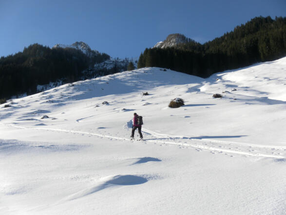 erster flacher Hang nach Bad Fusch
