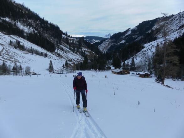 oberhalb der Oberhaus-Voralm