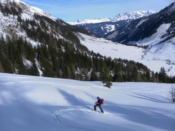 Anstieg zur Schreckalm