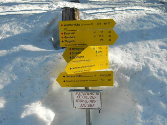 guter Orientierungspunkt im Wald