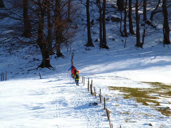 Tiefpunkt 970m nach dem Kruckenbrettlabstieg