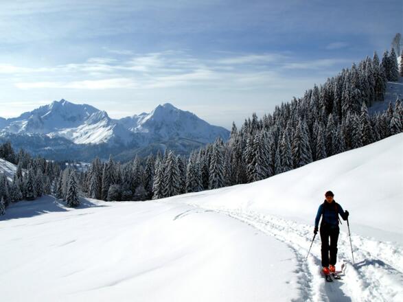 Kreuzau 1062 m, Blick nach Süden