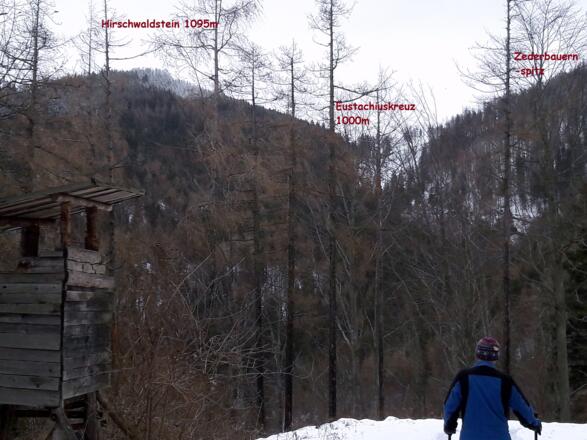 Forststraße um 860 m