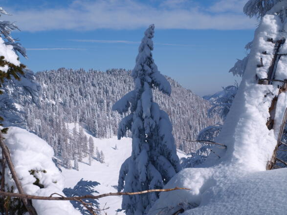 Tiefblick nordwärts zum Langfirst
