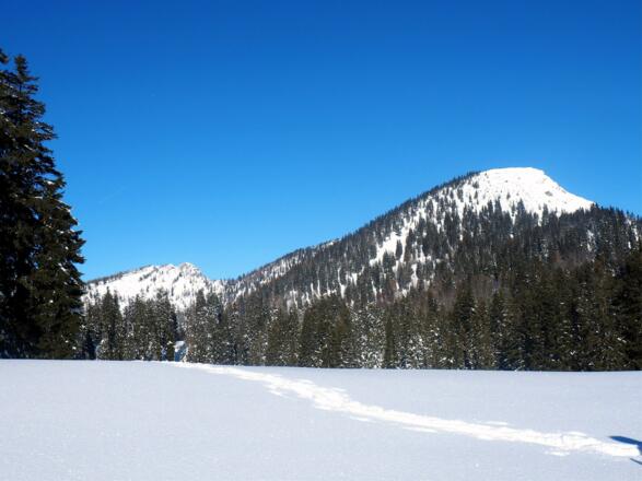 Rückblick zum Mayrwipfel