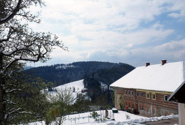 Oberhammet 886m von Oberndorf 800m