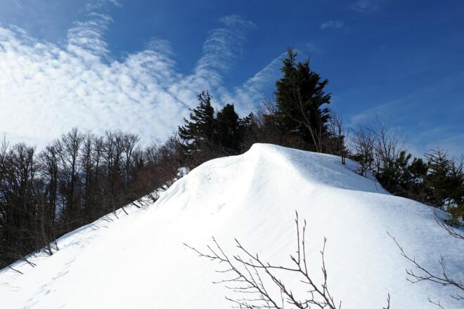 Am Grat zum Hühnerkogel um 1450m