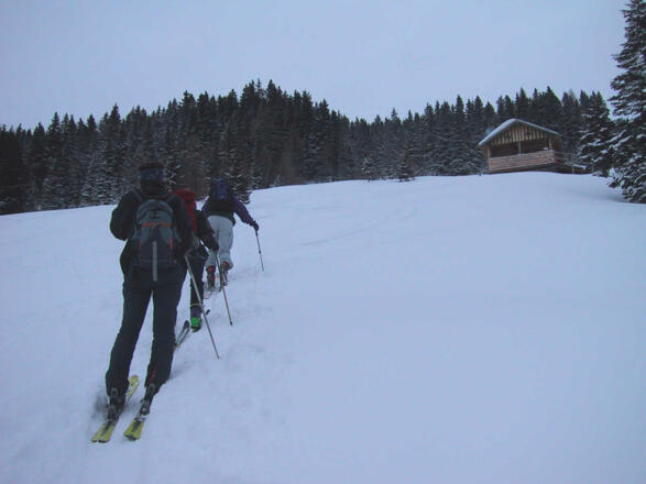 Alm vor dem Gipfelrücken