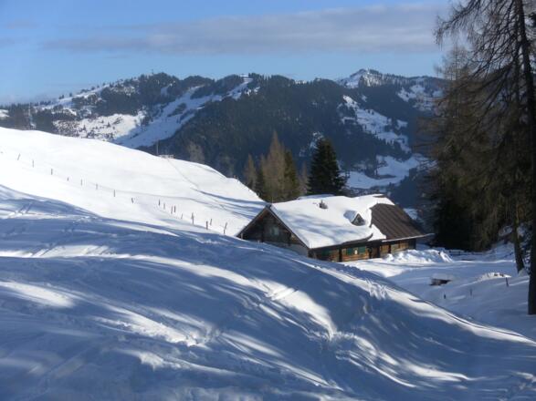 Igltalalm oder Niggeltalalm