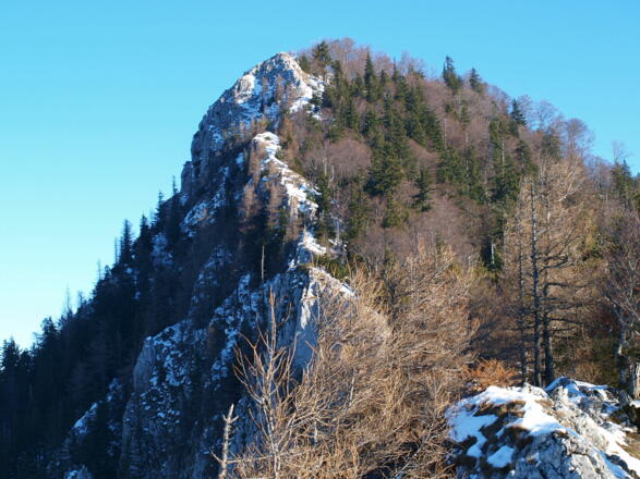 Südseite Dürres Eck, vom Felskopf 1105m.