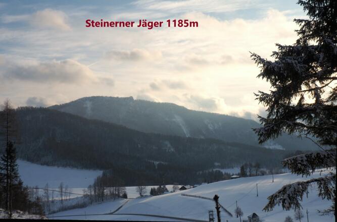 Blick zum Schieferstein vom Güterweg (~690m)