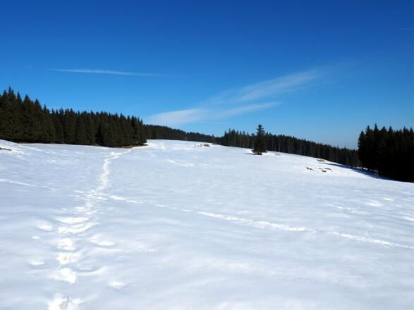 Abstieg, Blick zurück über das große Plateau