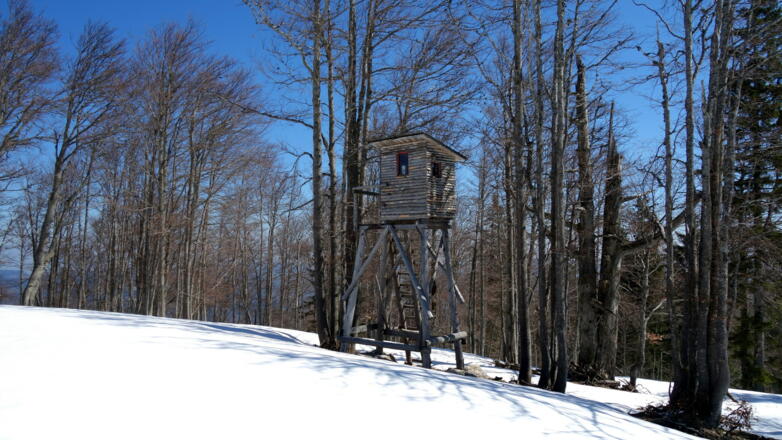 Jagastand beim Ennsberg um 1355m