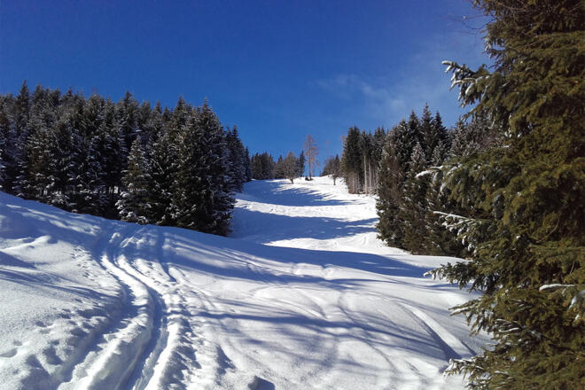 Aufstieg zur Bergstation Panoramabahn