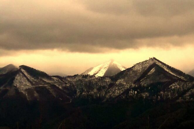Blick von der Forststraße (~910 m) zum Trailing