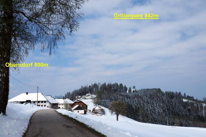 Blick zum Grillenparz vom Sender Oberndorf ~800m