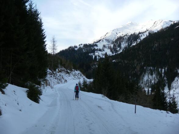 flache Forststraße ins Tal