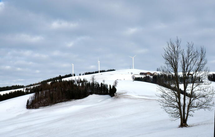 Windpark 900m mit Vorderplatten vom Anstieg