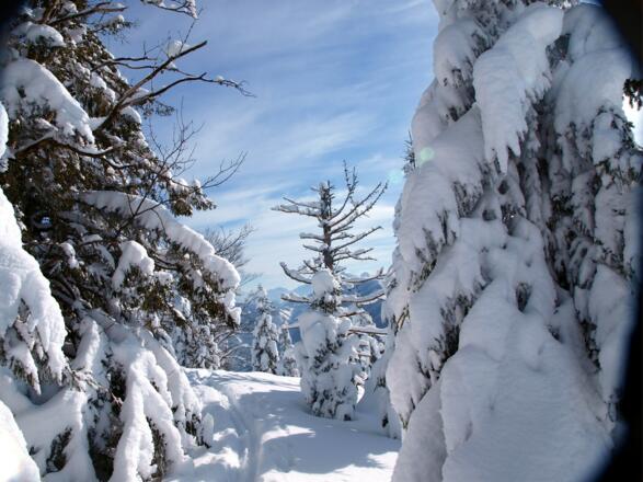 Am tief verschneiten Gipfelplateau 1433 m