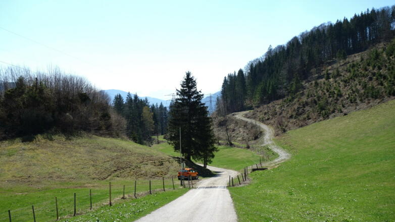 Schranken ~740m, Start und Ende