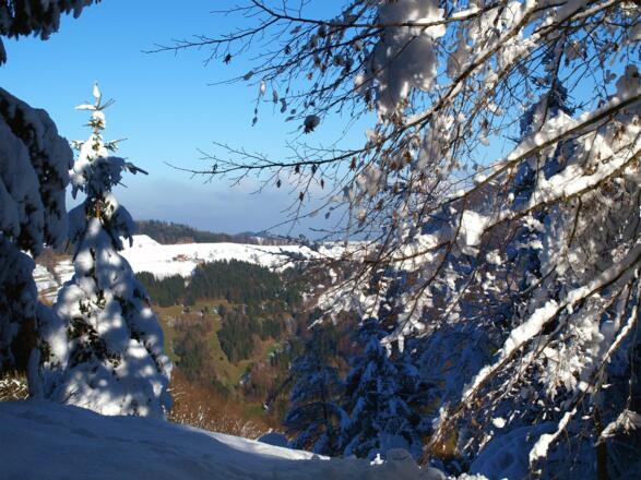 Talabstieg von der Grünburgerhütte 940m