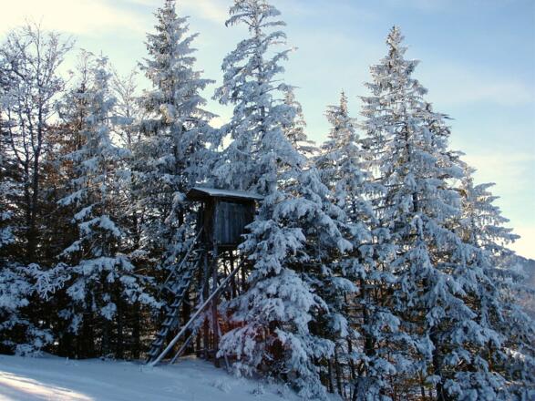 Jagastand um 1005m bei der Abfahrt