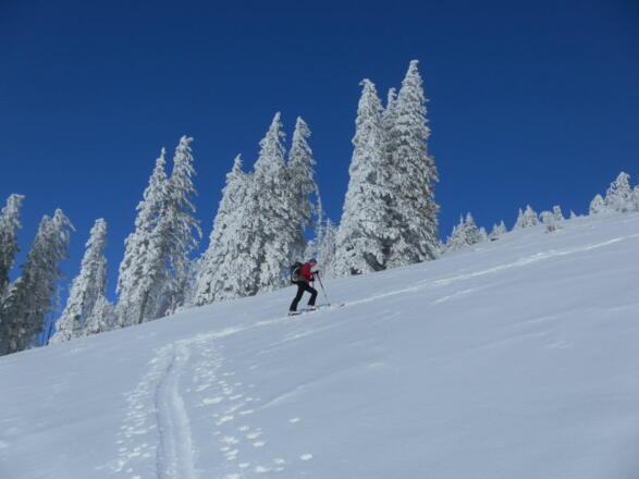 Südhang zum Eibleck
