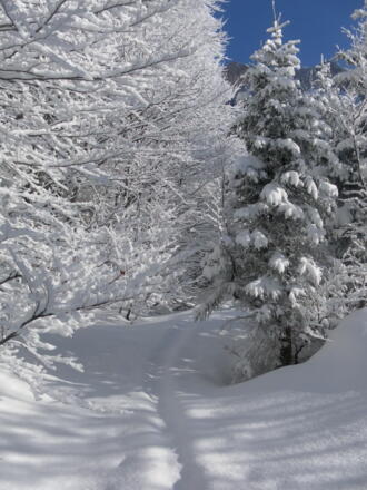 Ausstieg aus dem Graben