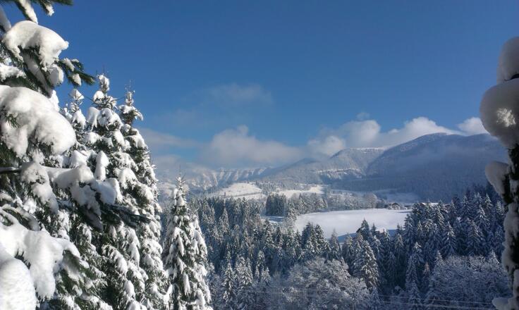 Winter in St. Koloman