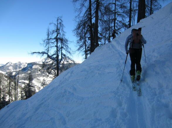 mit jedem Schritt lichtet sich der Wald und auch die Aussicht wird besser