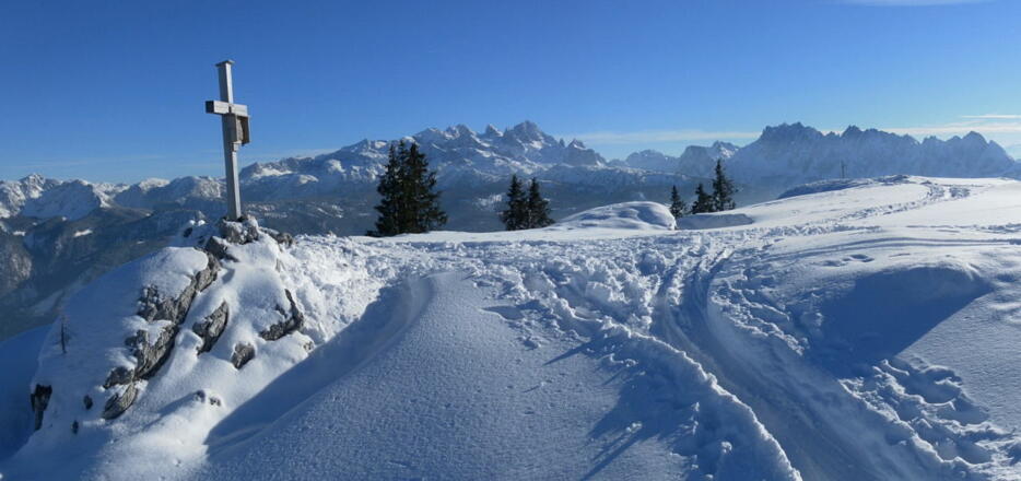 Dachstein und Gosaukamm von den Gipfelkreuzen