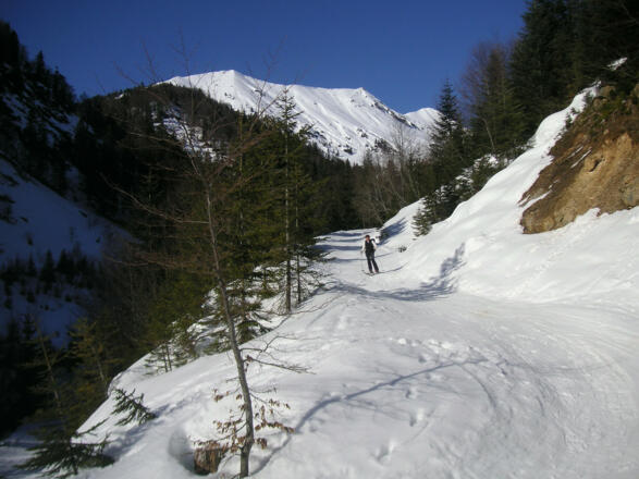 Talabfahrt am Güterweg