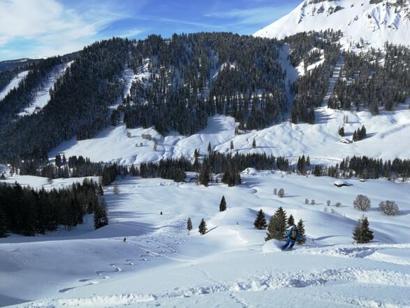 ... über wunderschöne Westhänge zurück nach Filzmoos ...