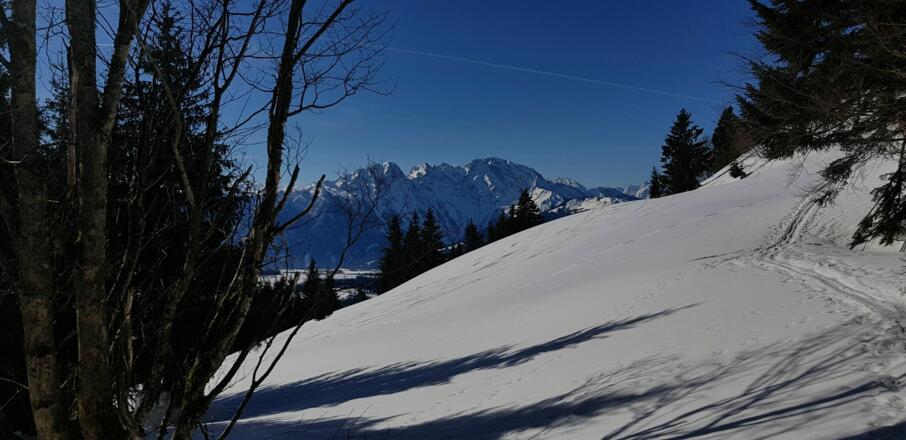 Am Weg zur Schlenksteinalm