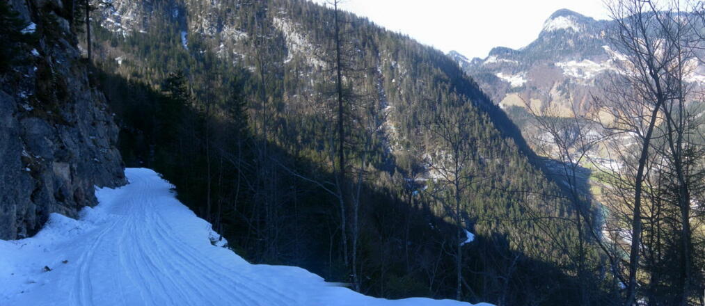 Querung der Nordostflanke der Schoßhörner am Forstweg