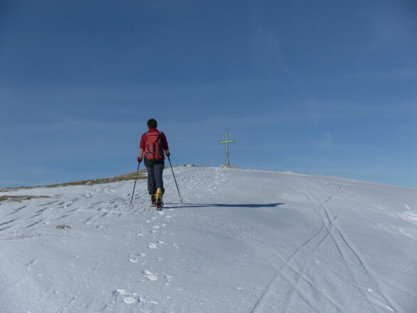 Gipfelplateau der Schartwand