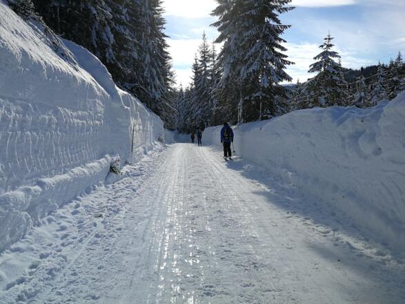 ... über die geräumte Forststraße zurück zum Parkplatz nach Filzmoos