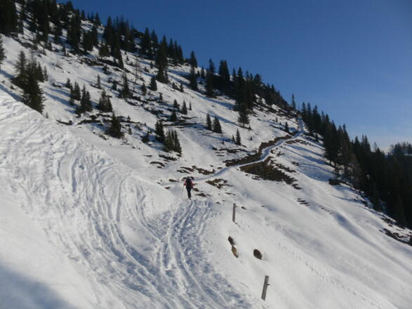Ziehweg zur Mitterfeldalm