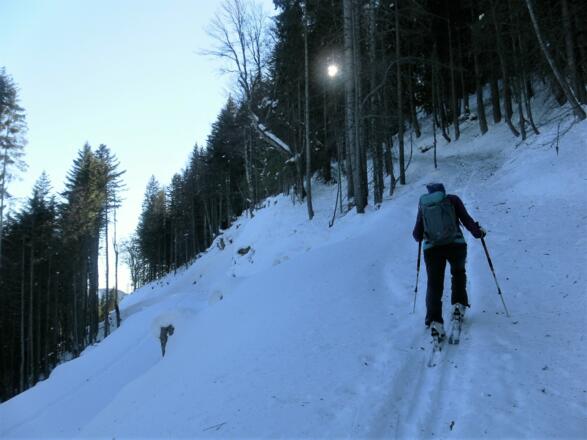 Weg zur Ostermaisalm