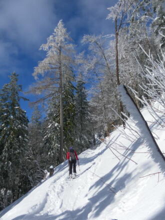 Ziehweg zur Eibleckalm