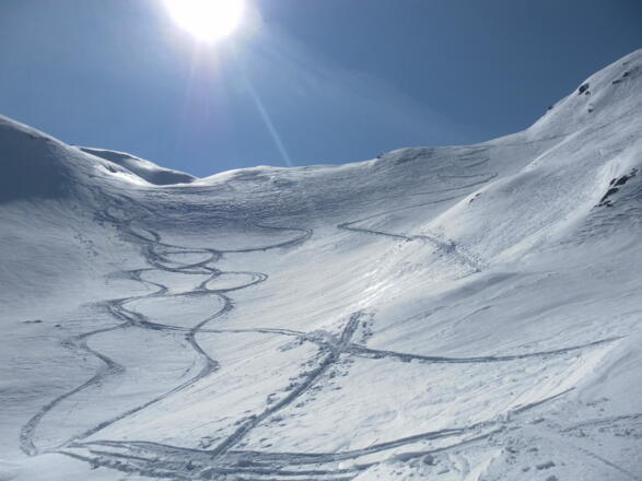 Rückblick in die Einfahrt
