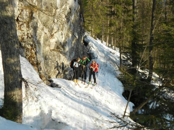 Die ersten 600 Hm durch den Wald