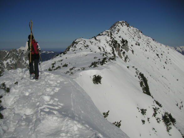 dem Schmalztragergipfel entgegen mit guter Einsicht in die steilen Osthänge