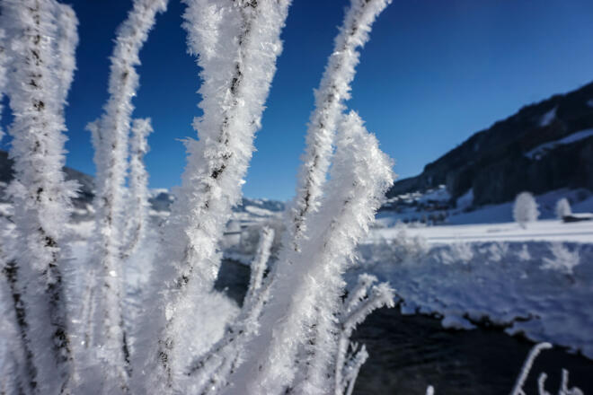 Naturschauspiel Raureif