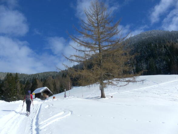 an der Mautstelle der Spielbergstraße