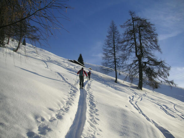 Südhänge des Napf über dem Waldgürtel