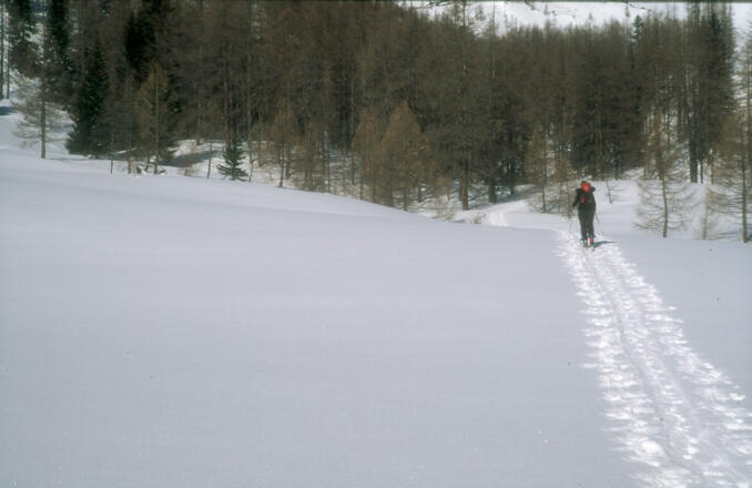 Im flachen Talboden nahe der Schaidlalm (1444m)