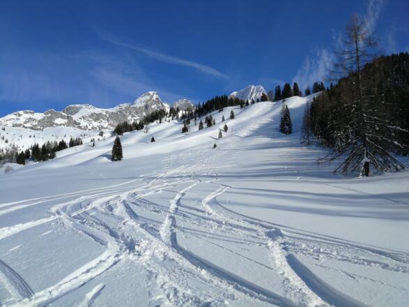Blick von der Forststraße - wunderschöne Westhänge - Abfahrt von der Sulzenalm nach Filzmoos