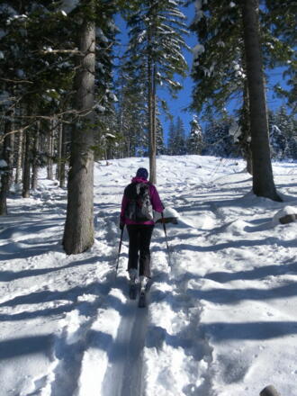 entlang des Schlages