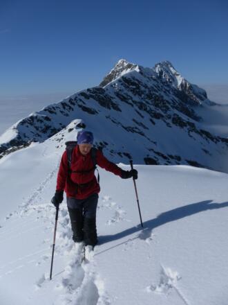 Graulahnerkogel aus dem Gipfelgrat